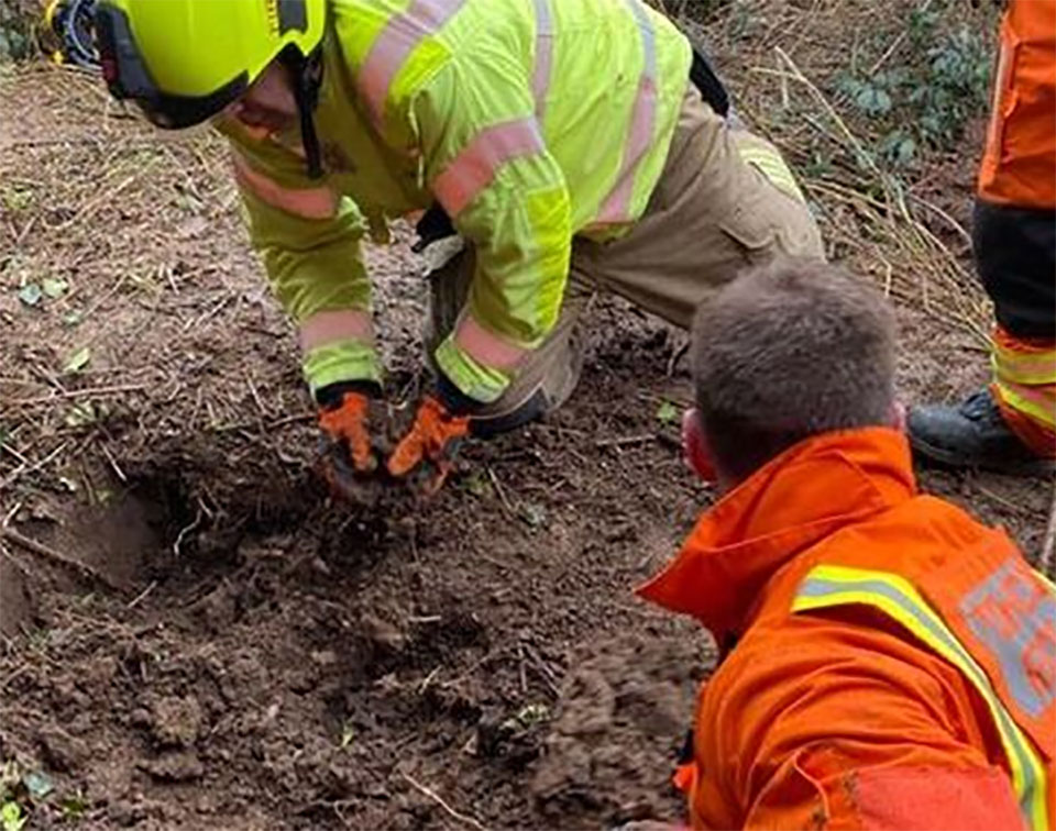 The dog that was buried alive by the owner in the ground was saved in time – AmazingUnitedState.Com