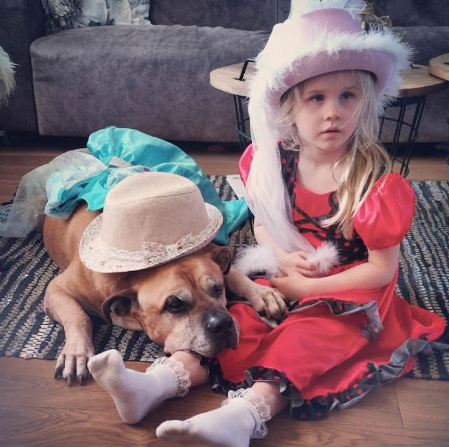 The 6-year-old daughter warmed the aging dog until it passed away – AmazingUnitedState.Com