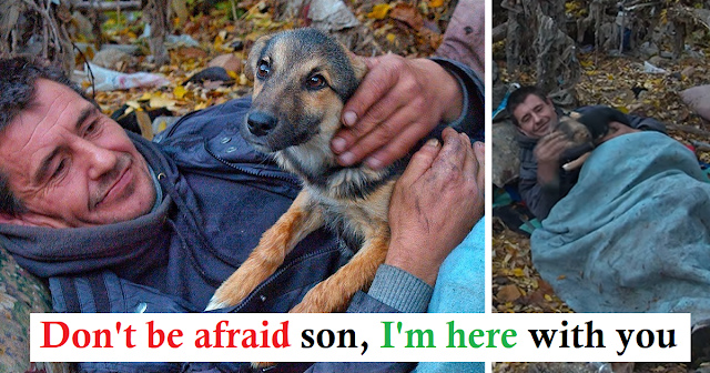 The most loyal dog was found cuddling a homeless owner sleeping deep in the woods - Juligal