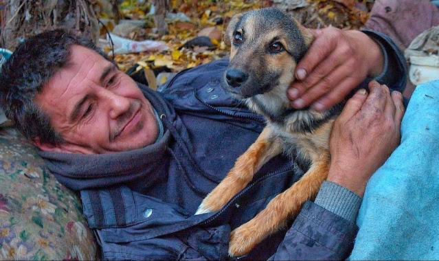 The most loyal dog was found cuddling a homeless owner sleeping deep in the woods - Juligal