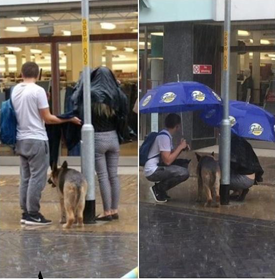 Discovering the dog tied up in the rain, the couple used their coats and umbrellas to cover it - Juligal