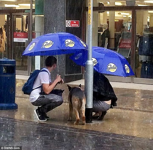 Discovering the dog tied up in the rain, the couple used their coats and umbrellas to cover it - Juligal