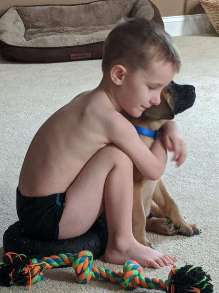 The boy regrets holding the dog with his face against the wall when he upsets the dog - Juligal