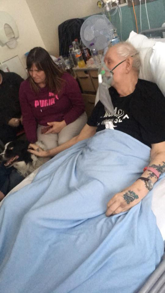 The hospital helps grandpa say his last goodbye to his beloved puppy - Juligal