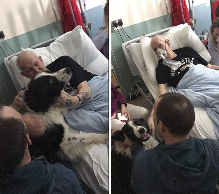 The hospital helps grandpa say his last goodbye to his beloved puppy - Juligal