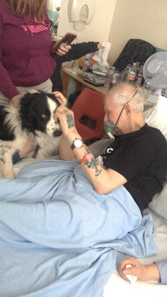 The hospital helps grandpa say his last goodbye to his beloved puppy - Juligal