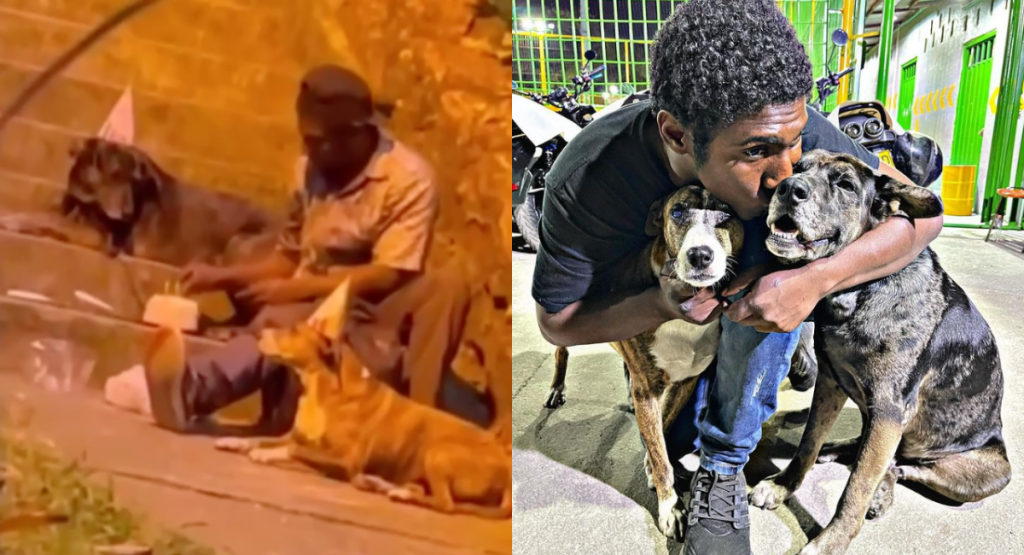 A homeless man celebrates his birthday with his two dogs. – AmazingUnitedState.Com