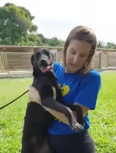 Barely lift Her Head, This Poor Dog Learned To Communicate With Her Look But It’s SAD! - Top News