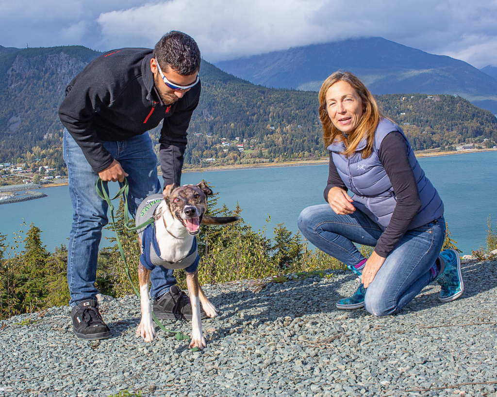 This specialized procedure in which veterinarians use fish skip to cure dogs that have suffered from sego burns