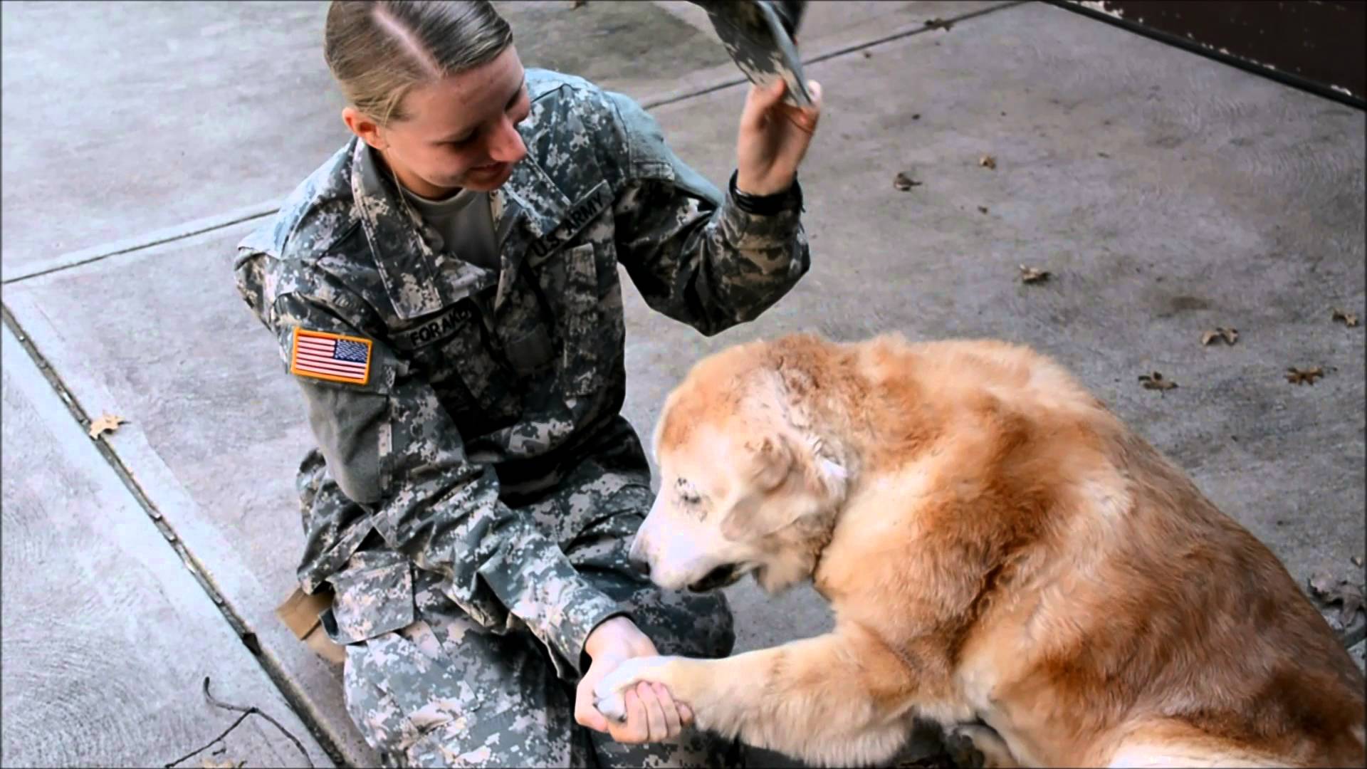 As the elderly dog sees her best friend returning from the army, she sobs with joy and breaks down in tears. – AmazingUnitedState.Com