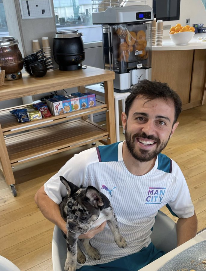 Bernardo Silva names his dog after a Man City team-mate and reveals the French bulldog is like ‘my little kid’