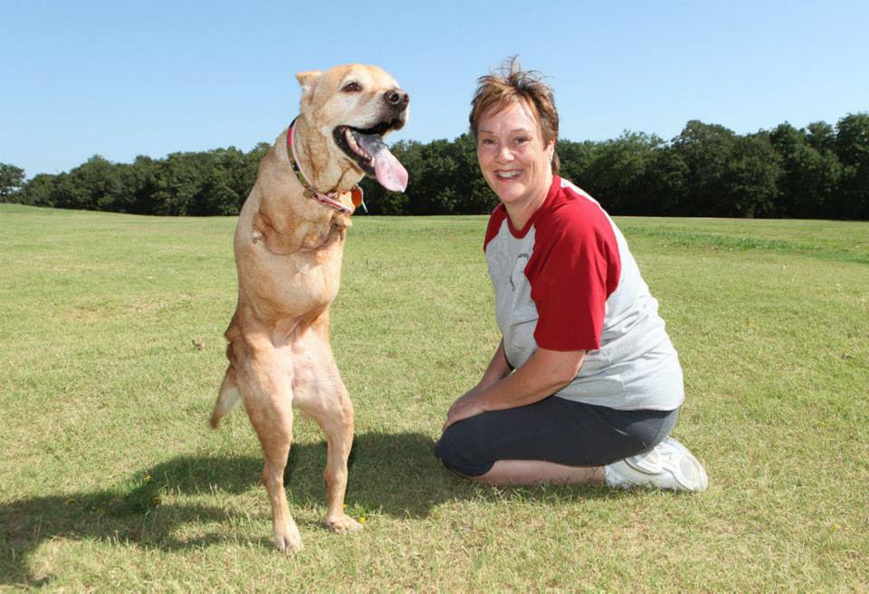 Due to his birth with only two legs, his owner abandoned this malformed dog, but now he is teaching the world a lesson. – AmazingUnitedState.Com