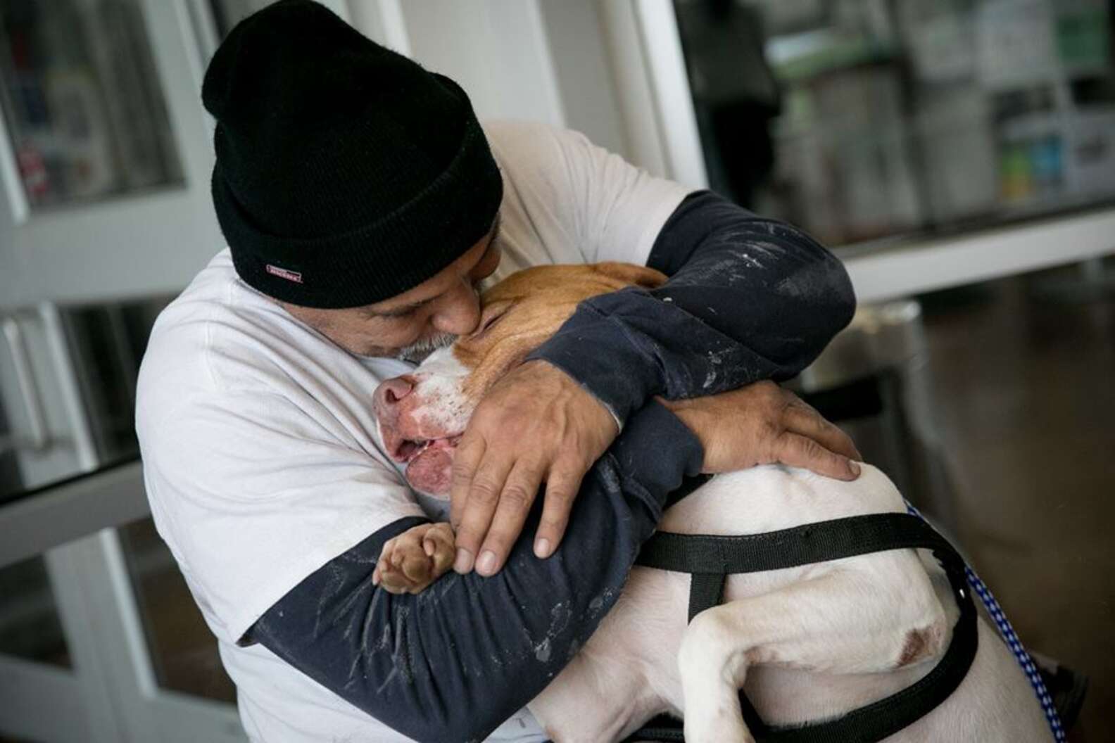 The tearful reunion after 4 months of separation, the owner hugged it and sobbed – AmazingUnitedState.Com