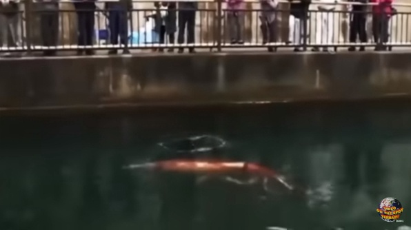 Giant Squid monster suddenly appeared at the foot of the bridge, surprising residents – thepressagge.com