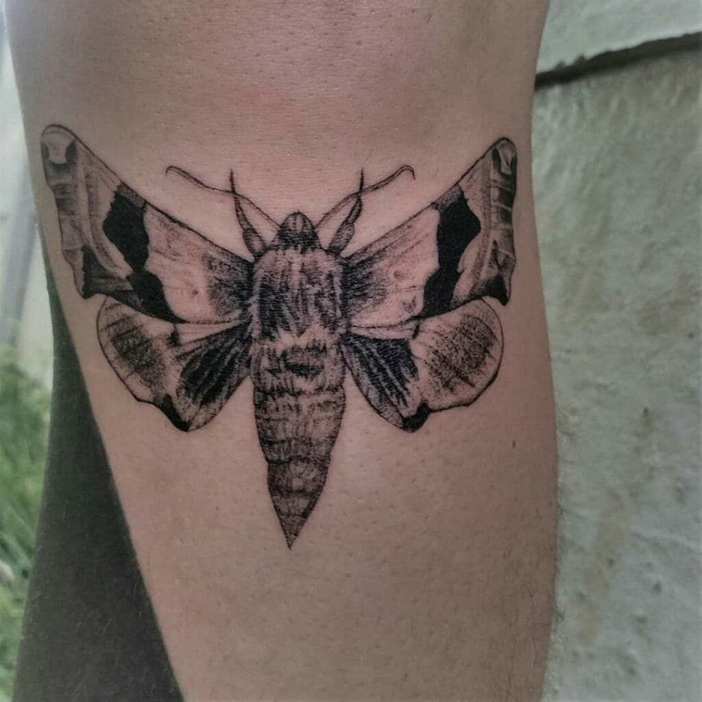 100+ Nature-Inspired Tattoo Designs That Will Take Your Breath Away - mysteriousevent.com