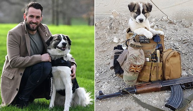 The Soldier Saves A Puppy From The Rubble And It’s Always In His Backpack – Animal Blog