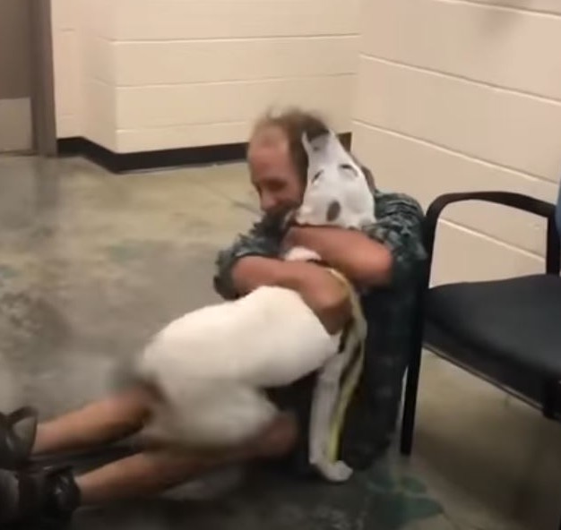 “Unlimited, unfettered fun.” The homeless man broke down with joy when he found his lost dog