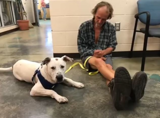 “Unlimited, unfettered fun.” The homeless man broke down with joy when he found his lost dog