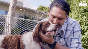 A man saves a dog in the desert, and when he sees her again a year later, he can't stop crying