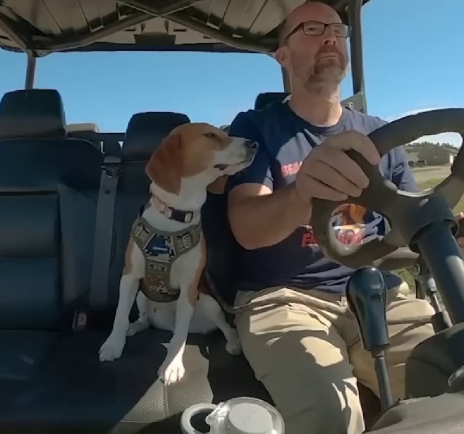 Lab Beagle Jumps Into Man’s Arms And Thanks Him For New Life - Puppies Love