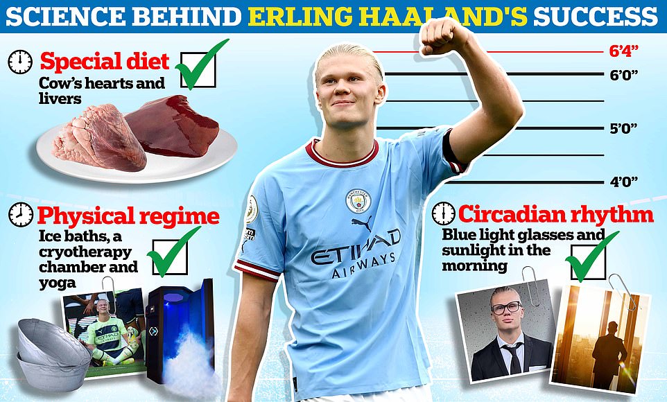 REVEALED, the science behind Erling Haaland's phenomenal success: From installing a £50,000 cryochamber in his home to eating grass-fed beef hearts... how Man City's prolific hitman has gained an edge on his closest rivals