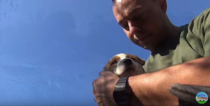 Man makes moving promise to dog who passed away after giving birth