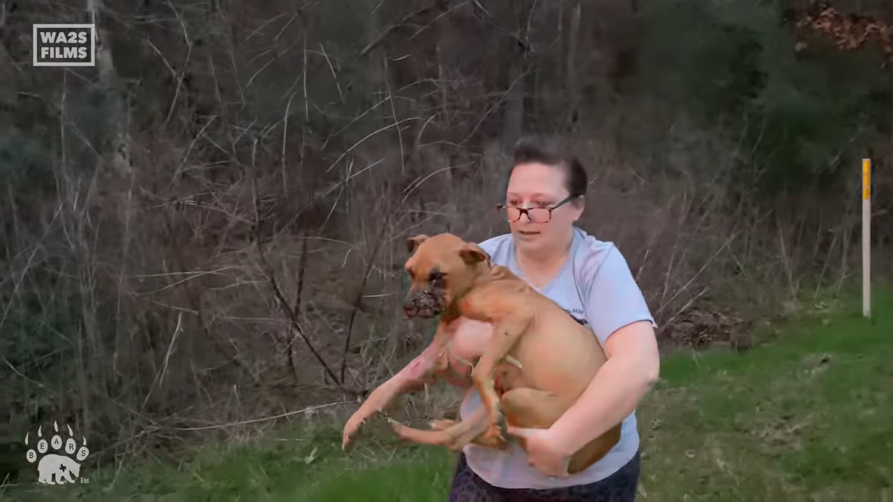 Dying Dog Dumped in Forest Fighting For Its Life is Rescued in Texas