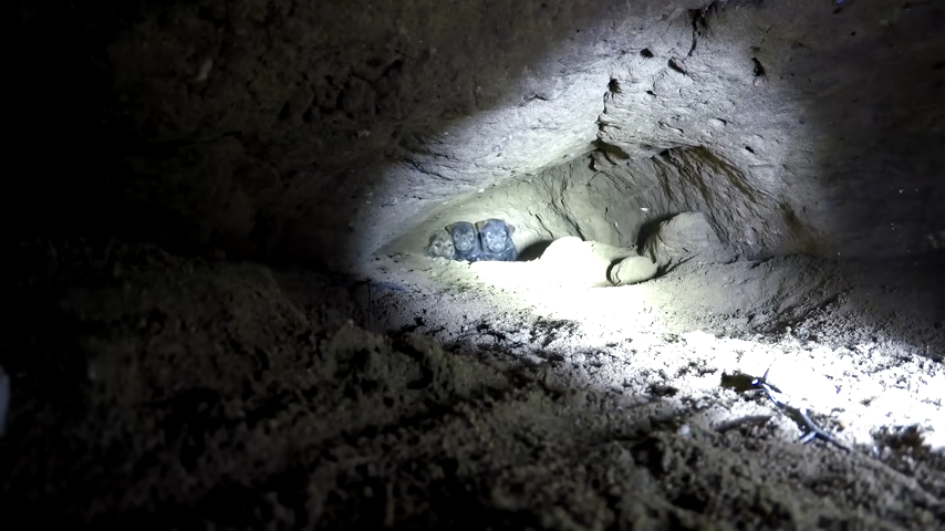 48 hours suffocating to rescue puppies living in a mountain cave 18 feet long