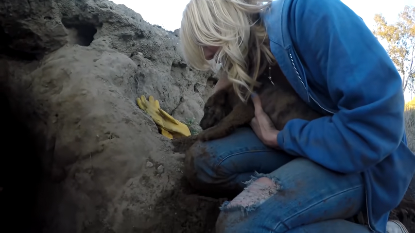 48 hours suffocating to rescue puppies living in a mountain cave 18 feet long