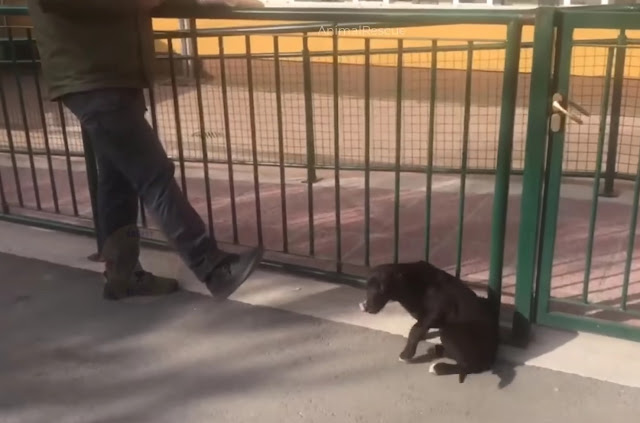 He was lost and alone in the street, pleading for assistance with everyone he encountered.