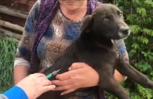 He was lost and alone in the street, pleading for assistance with everyone he encountered.