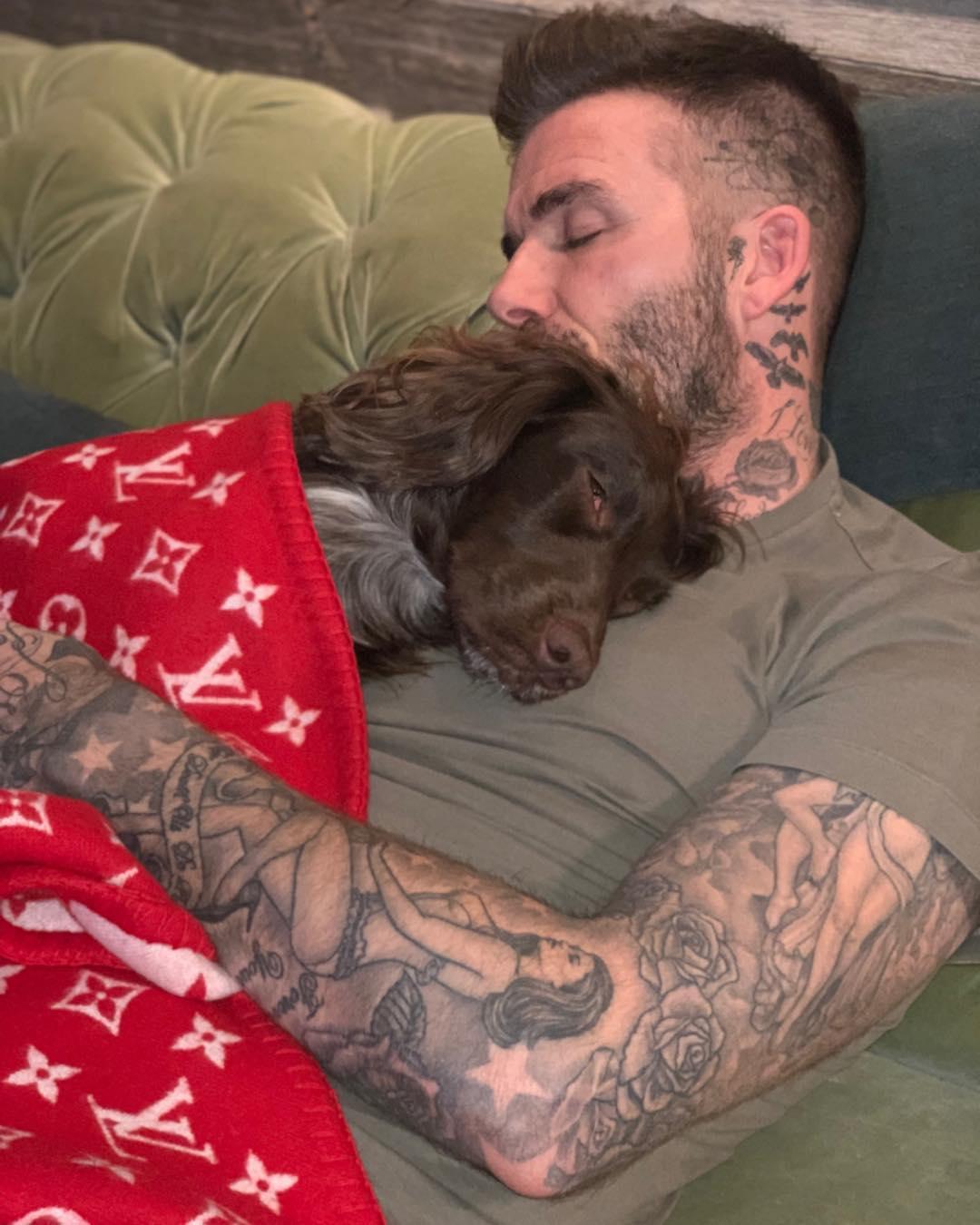 Manchester United legend, David Beckham wraps dog Olive in £4,600 Louis Vuitton blanket as he cuddles her on the sofa