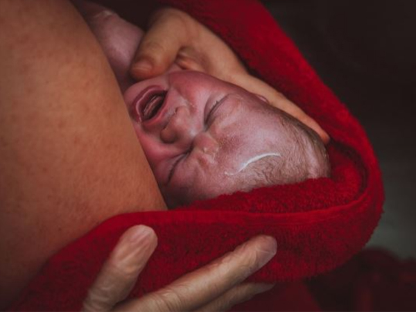 Crucial moments in the entire birth process are captured in the best photographs.