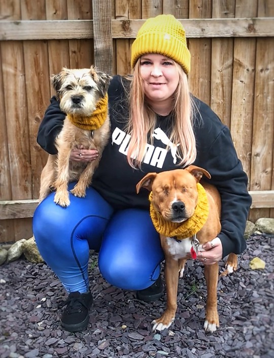 An adorable blind dog has an official companion dog, they are forever best friends - Juligal