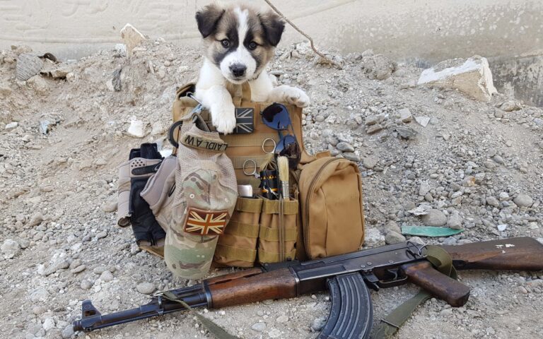 The Soldier Saves A Puppy From The Rubble And It’s Always In His Backpack – Animal Blog