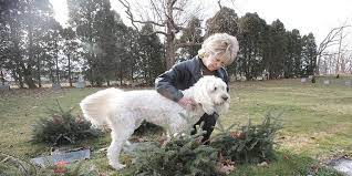 Touched by the loyal dog that stayed by the owner’s grave so that the owner is not alone ! - Puppies Love