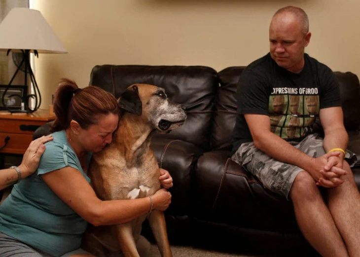 It is Heartbreaking to hear Vets that Pets do these acts in their last moments.