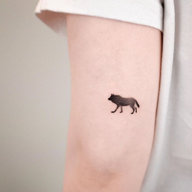 Are you ready to discover the best wolf tattoo designs?