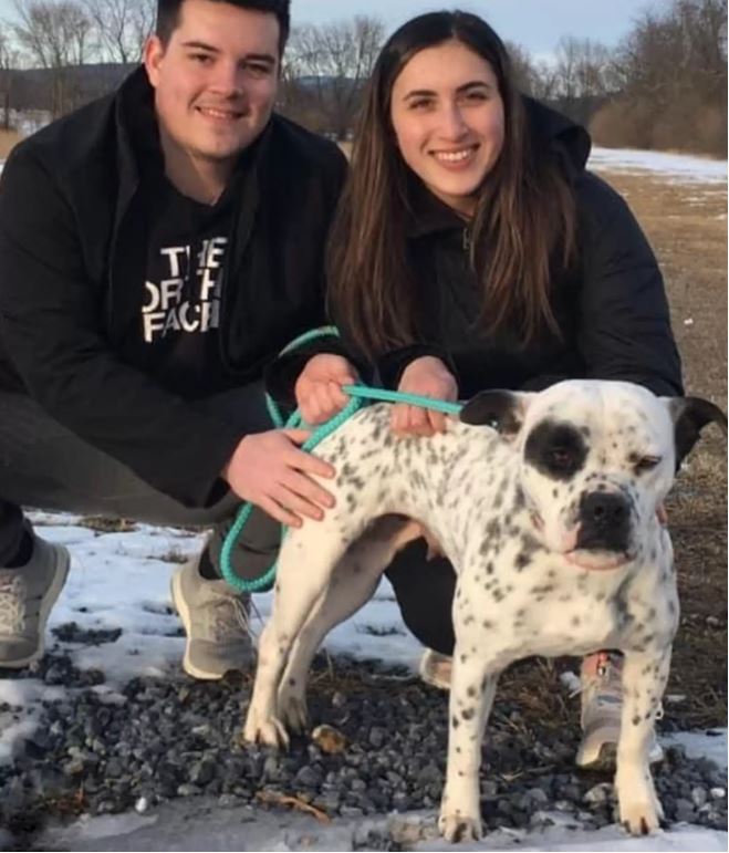 Rescue Pit Bull Tries To Work Up The Courage To Enter Her First Real Home - Puppies Love