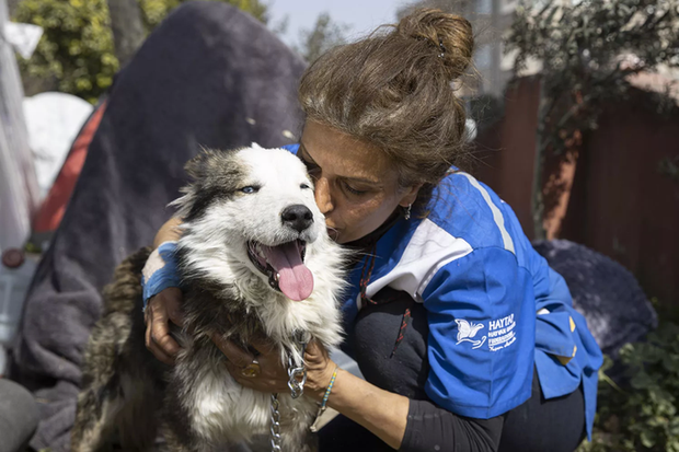 CLIP: Rescuing a dog stuck for 22 days under the rubble of an earthquake in Türkiye - Photo 2.