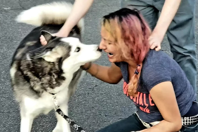 Reunited at Last: Woman Reunites with Beloved Dog Two Years After ɩoѕіпɡ Her Due to іɩɩпeѕѕ