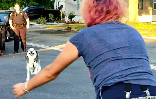 Reunited at Last: Woman Reunites with Beloved Dog Two Years After ɩoѕіпɡ Her Due to іɩɩпeѕѕ