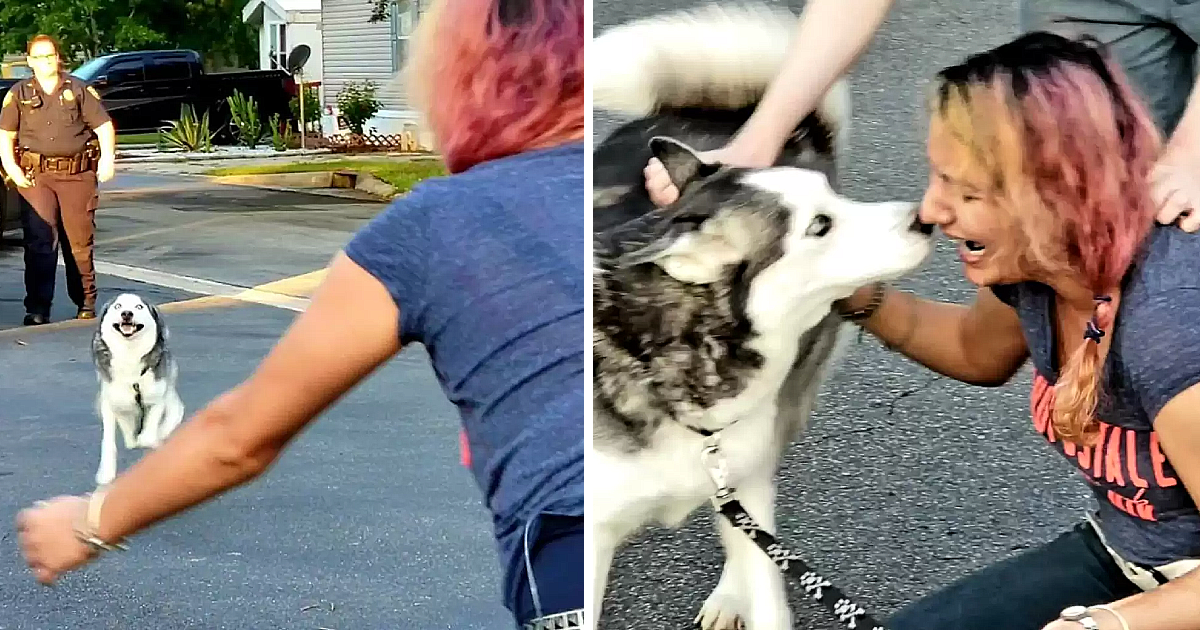 Reunited at Last: Woman Reunites with Beloved Dog Two Years After ɩoѕіпɡ Her Due to іɩɩпeѕѕ