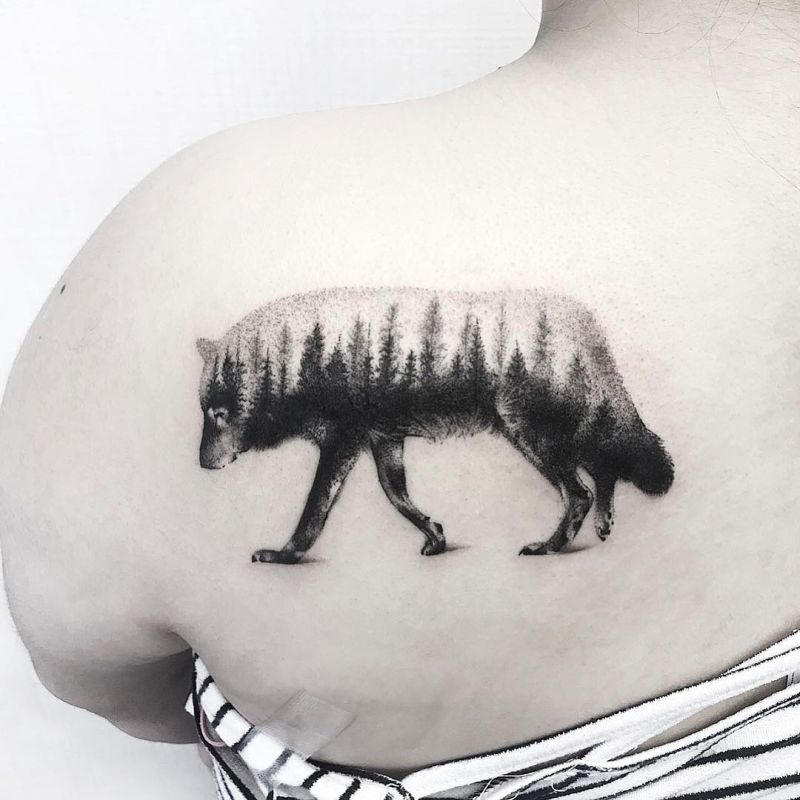 Are you ready to discover the best wolf tattoo designs?