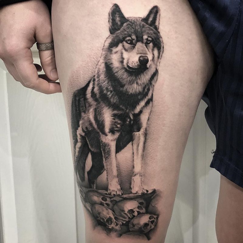 Are you ready to discover the best wolf tattoo designs?