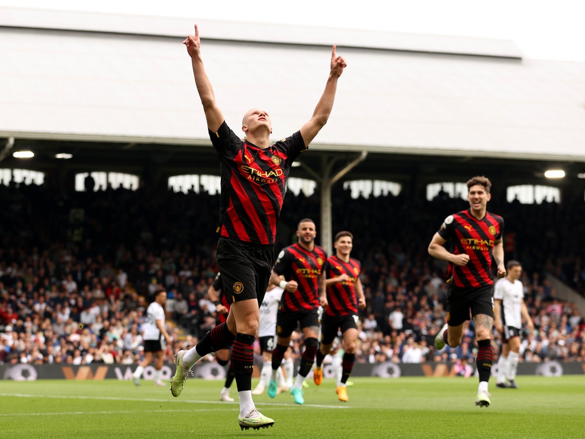 Fulham vs Manchester City LIVE: Premier League result, final score and  reaction | The Independent