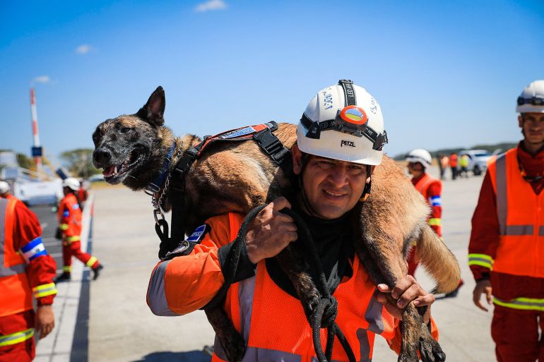 The dogs helping find earthquake survivors in Turkey | Turkey-Syria Earthquake News | Al Jazeera