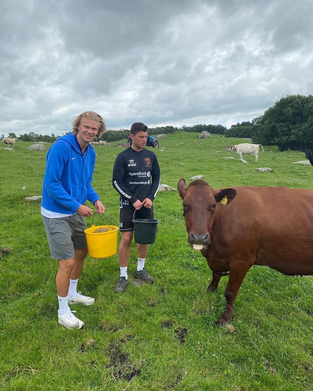 Football Tweet ⚽ on Twitter: "Erling Haaland: "I try to relax as much as I can. Being on a farm... driving a tractor, feeding my cows, that's my dream. That's what I