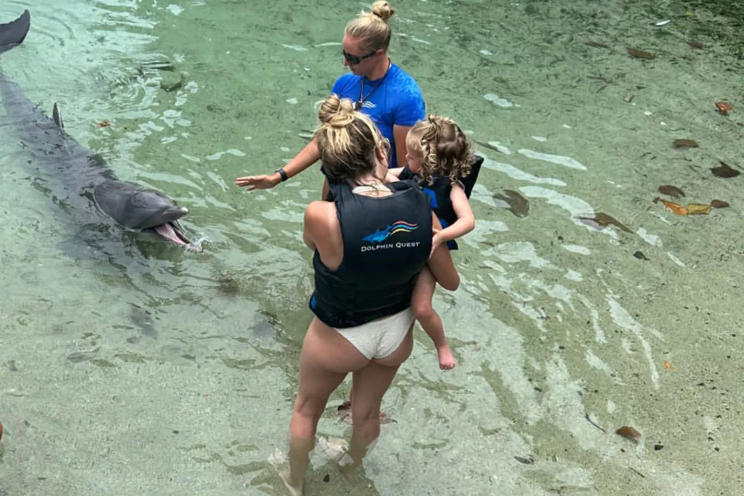 Brittany Mahomes and Daughter Sterling Meet Dolphins on Island Vacation